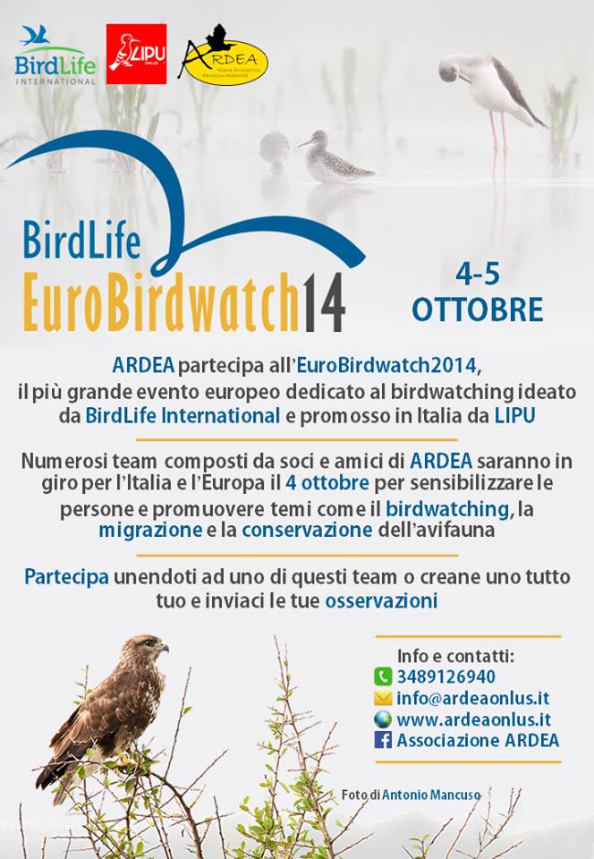 eurobirdwatch 2014